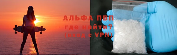 Альфа ПВП Иннополис