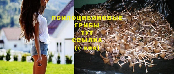 Альфа ПВП Иннополис
