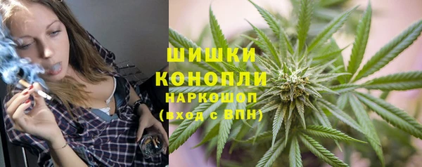 mdpv Инта