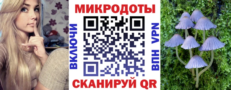 Купить закладки  Малая Вишера  Псилоцибиновые грибы мицелий 